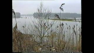 Wateroverlast Deinze 12 1993 3 [upl. by Rimisac250]