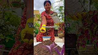 Prepare soil mix for winter flower plants 🪴 ashortaday gardening [upl. by Boehike]