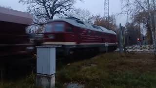 bhf Bernsdorf hbf T108109 mit Bv Gv in Sachsen am 111124 um 1614 Uhr [upl. by Airbmac94]