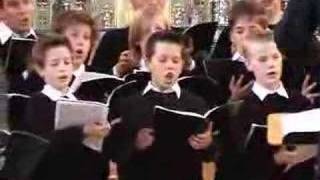 Tölzer Knabenchor quotWarum toben die Heidenquot Mendelssohn [upl. by Rehpinnej]