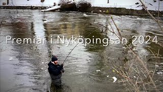 Havsöringspremiär i Nyköpingsån 2024 del 2 [upl. by Parnell]