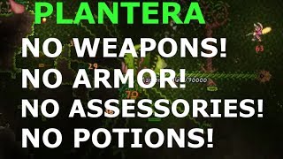 How to kill Plantera WITHOUT USING ANY WEAPONS   no armor  no assessories  no potions [upl. by Aldarcy]