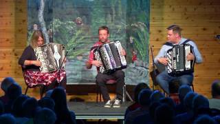 Skvis Accordion Trio from Norway performs at Nisswastämman 2017 [upl. by Xxam]