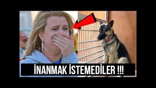 Sahipleri Uyurken Köpeğin Her Gece Yaptığını Görenler Gözyaşlarını Tutamadılar [upl. by Swor485]