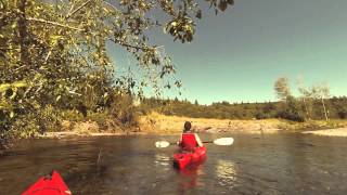 Kayaking down the Wynoochee River  Montesano Washington [upl. by Emlen]