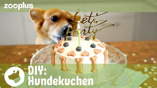 Hundekuchen backen  Tierisch einfach DIY mit Luisa  zooplus [upl. by Rheba]