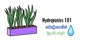 Hydroponic for beginners part 1 [upl. by Lokim]