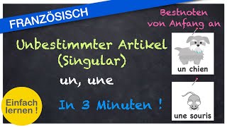 Französisch Die bestimmten und unbestimmten Artikel  Französisch  Grammatik [upl. by Still]