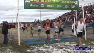 Boys Div I  2012 OHSAA Cross Country State Championships [upl. by Attezi]