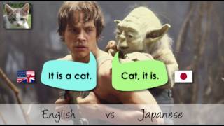 Japanese Grammar  Lesson 1  Sentence Structure [upl. by Iru555]