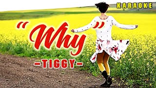 Why  Tiggy KARAOKE VERSION [upl. by Richella429]