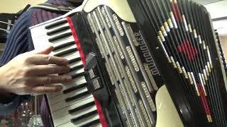 MUNDINGER 120 BASS piano accordion [upl. by Marquez]