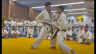 Rick Hotton sensei relaxed heaviness France 2023 [upl. by Llechtim]