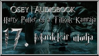 Harry Potter és a Titkok Kamrája hangoskönyv  17 fejezet [upl. by Tigges10]