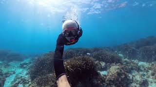 Freediving in Mallorca Spain  October 2024 [upl. by Sisto]