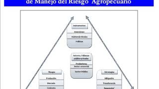 Marco conceptual Riesgos agropecuarios [upl. by Legim]