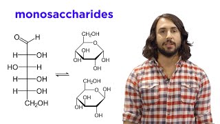 Carbohydrates Part 1 Simple Sugars and Fischer Projections [upl. by Alli]