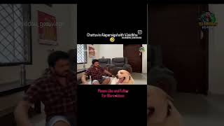 Choto alaparaighal Vjsiddhu vlogs vjsiddhuvlogs inivlogs gosucomedy [upl. by Sorgalim]