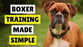 How To TRAIN Your Boxer Dog with EASE ✅ Best TIPS in 2024 [upl. by Russi]