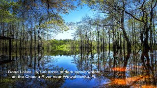 Dead Lakes  Wewahitchka [upl. by Lawrence]