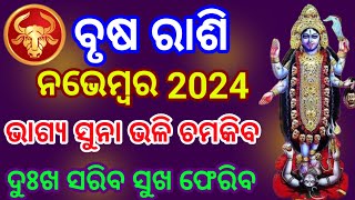 Brusha Rashi November 2024 Odia  ବୃଷ ରାଶି ନଭେମ୍ବର ୨୦୨୪  brusha rashi November 2024  Taurus [upl. by Limemann]