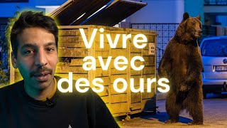 Des ours en pleine ville  SAUVAGE EP1 [upl. by Cy149]