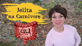 Jelita na Carnivore cz1 WZJG i choroba LC Badanie naukowe [upl. by Verna]