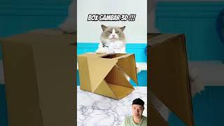 Box gambar 3D cat puffthemagicdragon pets mrspuff funny whatshouldpuffdo funnycats diy [upl. by Delp]