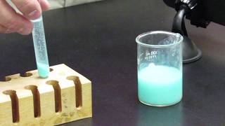 Properties of Matter Formation of Precipitate—Evidence of Chemical Change [upl. by Zink]