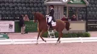 Catherine Haddad Grand Prix Mane Stream Hotmail [upl. by Hollerman]