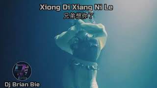 Xiong Di Xiang Ni Le 兄弟想你了 Remix By Dj Brian Bie Tiktok Hot Song Douyin [upl. by Assenyl715]