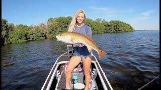 HUGE Redfish in TAMPA BAY [upl. by Nomelc289]