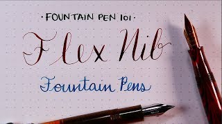 Flex Nib Fountain Pens Fountain Pen 101 [upl. by Amsed]