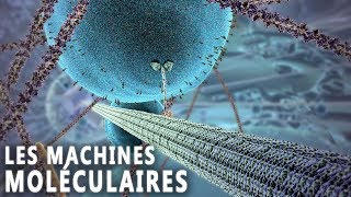 LES MACHINES MOLÉCULAIRES [upl. by Eneirda284]