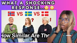 Can Nordic Countries Understand Each Other  Danish Swedish Norwegian REACTION [upl. by Ailaza572]