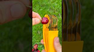 😱Wow Amazing way to cut cherries lifehacks lifetips viralshorts shotsfeed youtubeshorts [upl. by Daney299]