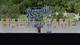 Pasquatch Unveils 2024 Royals Schedule [upl. by Oilalue]