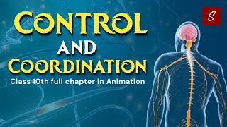 Control and Coordination Class 10 Full Chapter Animation  Class 10 Science Chapter 7  CBSE [upl. by Katey]