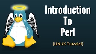 Introduction to Perl  Perl Tutorial for Beginners [upl. by Arianie]