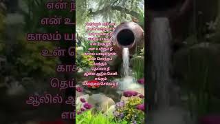 Paarkum paarvai♥️♥️ music tamilsongwhatsappstatus love trendingoldisgoldreels lyricsspb80s [upl. by Hsetim]