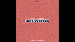 HAIY VOETSEK prod xaddy potter [upl. by Eahsel]