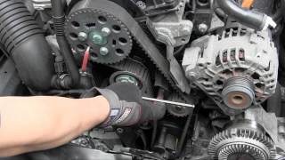 VW Audi TDI pumpe duse PD TDI engine timing belt tensioner trick [upl. by Vassar286]