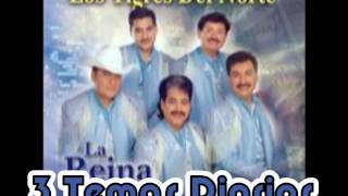 Mi SoldadoLos Tigres del Norte Album La Reina del Sur Año 2002 [upl. by Nnadroj]