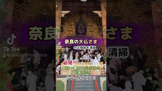 必見‼︎奈良の大仏さま⭐︎年に一度の「お身拭い」 大仏さまのお身体を清掃⭐︎東大寺 白装束に藁草履姿の僧侶さん 奈良の大仏 パワースポット お身拭い [upl. by Vladi879]