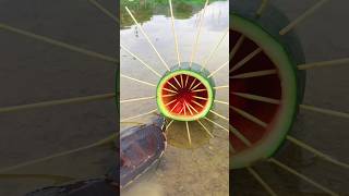 Survival Skills Simple and Useful with Watermelon Turtle 🐢 Trap survival funny simple bushcraft [upl. by Kenn]