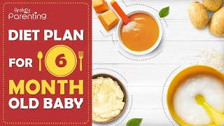 Diet Plan for a 6MonthOld Baby [upl. by Adiahs432]