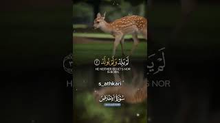 تلاوة عطرة لسورة الإخلاص toutlemonde viralvideo foryoupage تصميمي اشتراكبالقناة [upl. by Kevyn18]