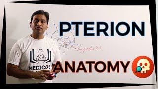 ANAHNB016 Pterion  Anatomy  Dr Prashant Sharma [upl. by Nela]