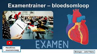 Examentrainer  Bloedsomloop [upl. by Ruddy150]