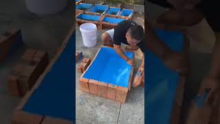 Fish tank making fish 🐠 shorts short viral trending facts viralvideo [upl. by Corbin615]